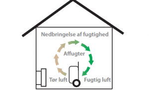 Har du brug for Skimmelsanering, der hvor du bor?