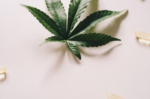 Hvad er CBD-dråber, og er de lovlige?