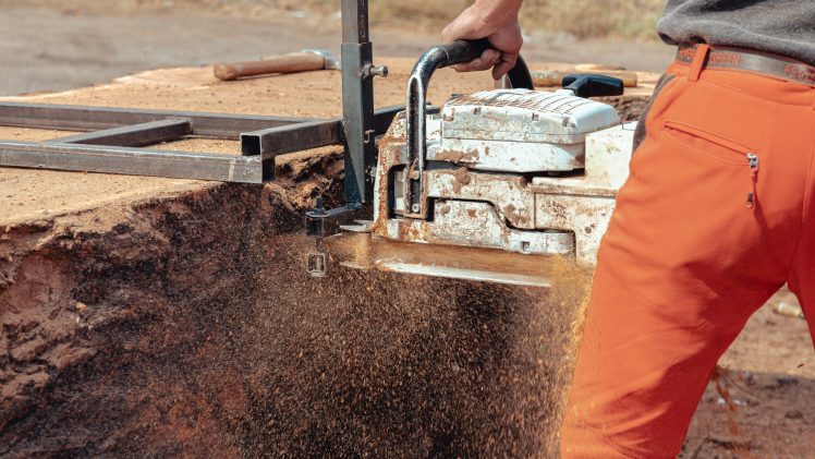 Få professionel træfældning i Svendborg