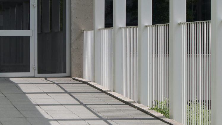 5 gode råd til fjernelse af flisepest